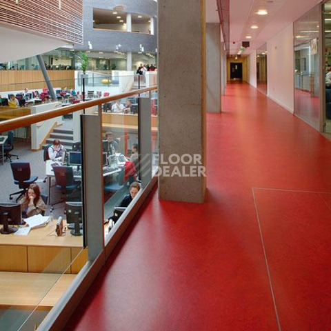 Forbo Marmoleum Decibel on Order 313135 scarlet фото 2 | FLOORDEALER